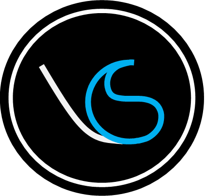 VirtualityGS